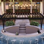 D5_bar molhado_20240215_095631